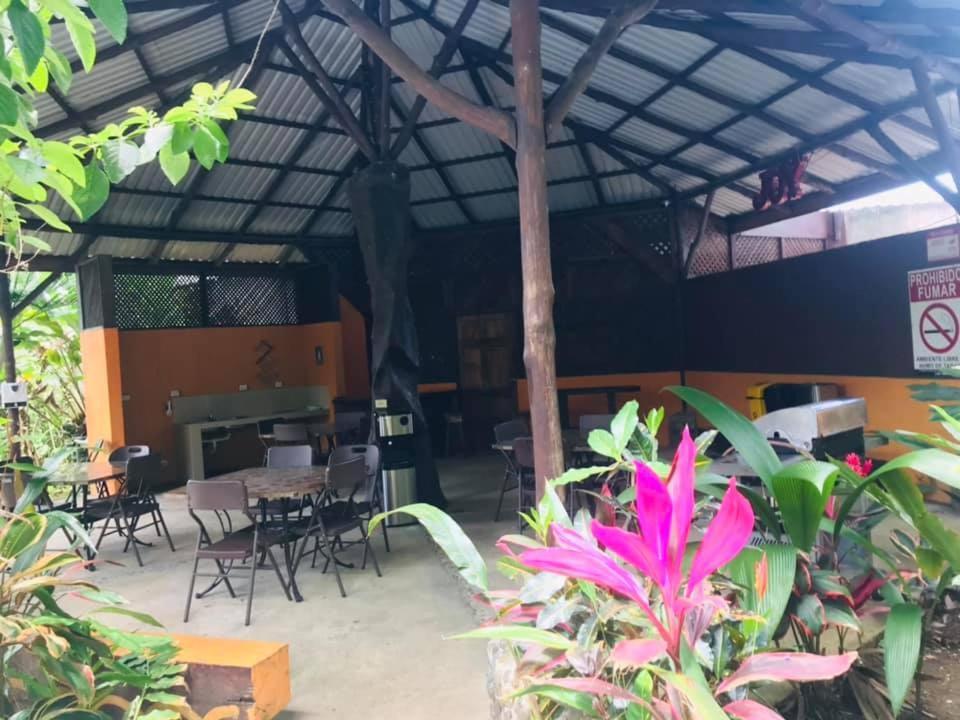 Aunty Arenal Lodge La Fortuna Exteriör bild