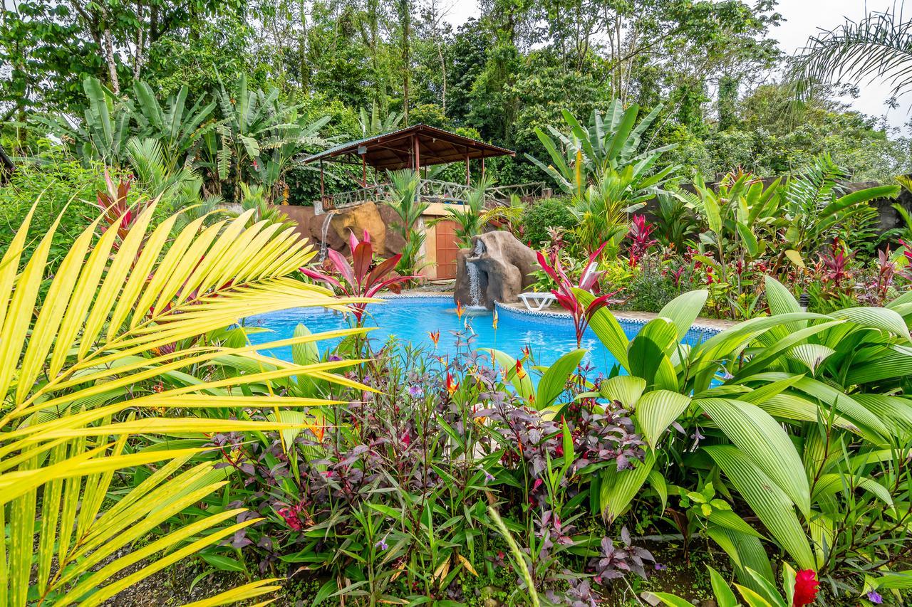 Aunty Arenal Lodge La Fortuna Exteriör bild